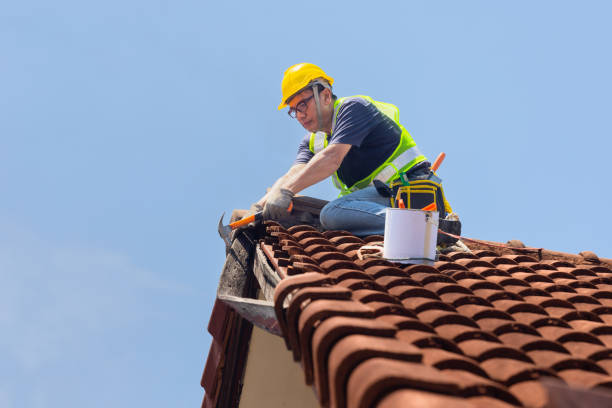 Best Green or Eco-Friendly Roofing Solutions  in La Porte, TX